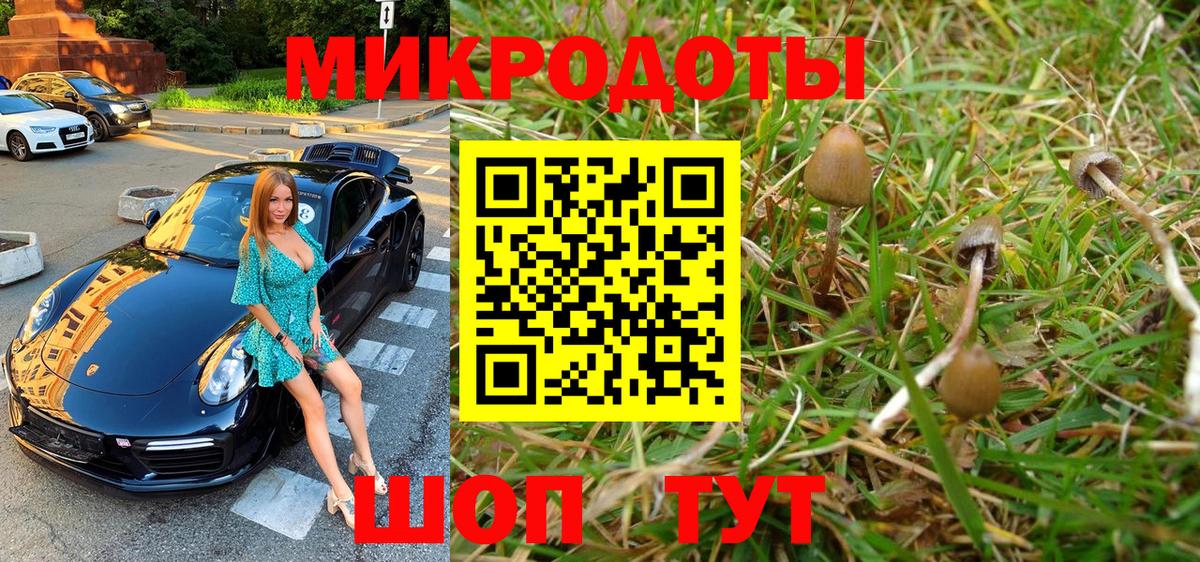 Псилоцибиновые грибы Cubensis  Вход с VPN  Красный Сулин 